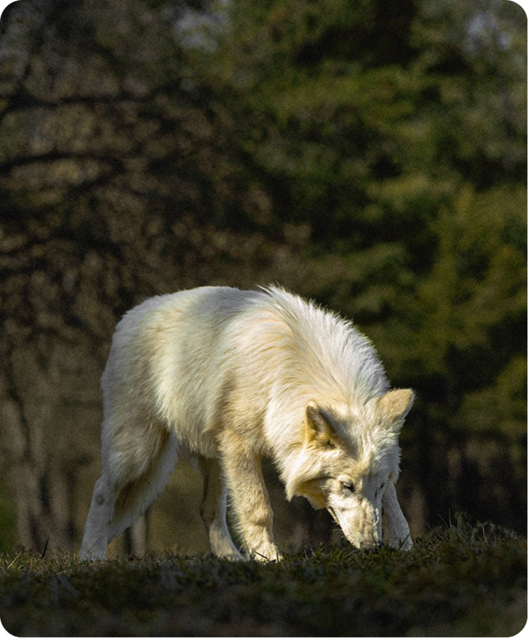 Image 27