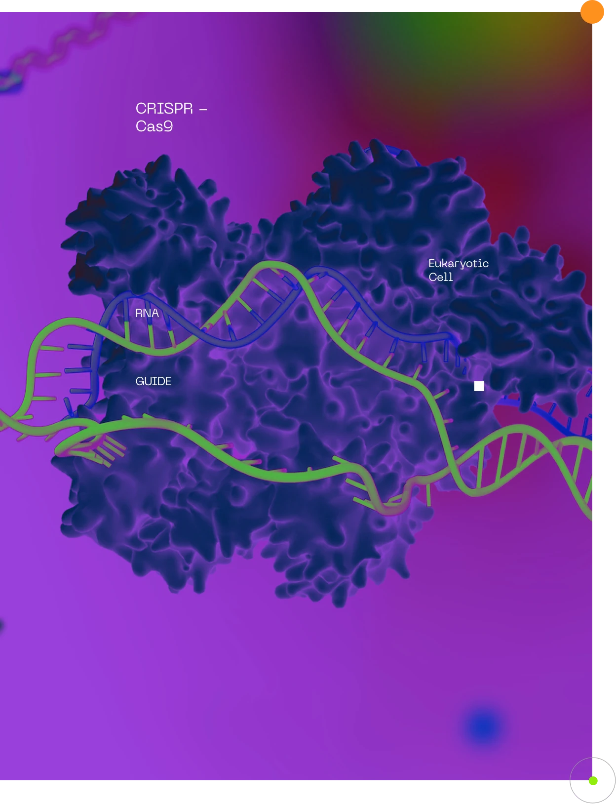 crispr